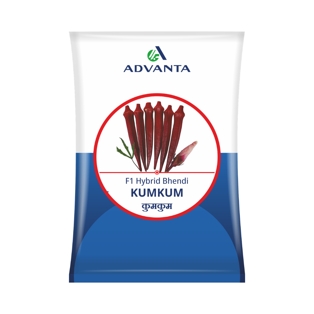 Kumkum Red Bhindi Seeds - Advanta | F1 Hybrid | Buy Online Now