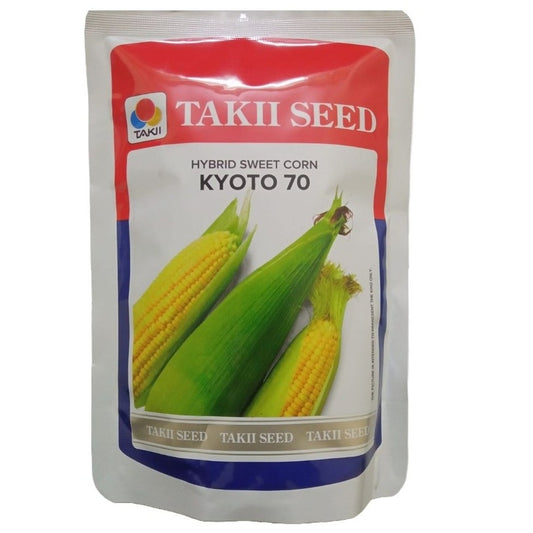 Kyoto 70 Sweet Corn Seeeds - Takii | F1 Hybrid | Buy Online Now