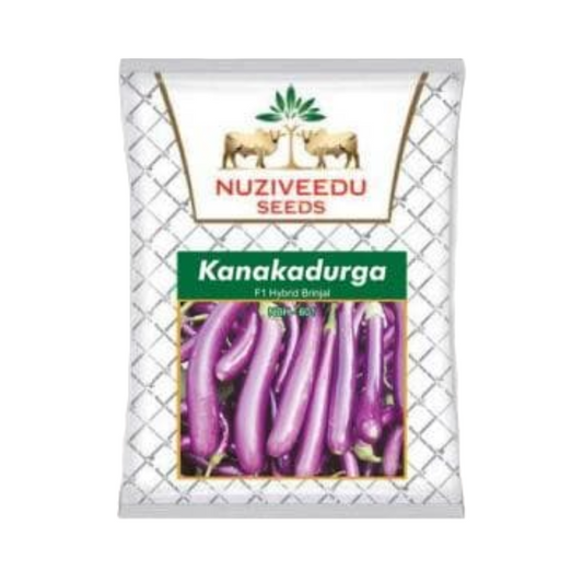 Kanakadurga Brinjal Seeds - Nuziveedu | F1 Hybrid | Buy Online at Best Price