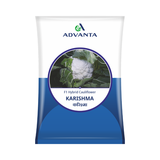 Karishma Cauliflower Seeds - Advanta | F1 Hybrid | Buy Online at Best Price