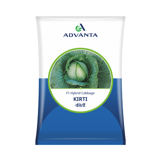 Kirti Cabbage Seeds - Advanta | F1 Hybrid | Buy Online at Best Price