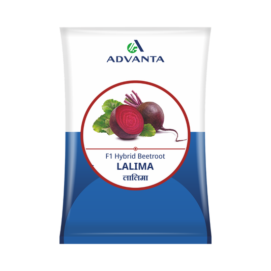 Lalima Beetroot Seeds - Advanta | F1 Hybrid | Buy Online at Best Price
