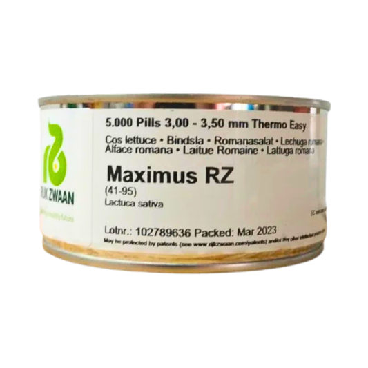 Maximus RZ (41-95) Cox Lettuce Seeds
