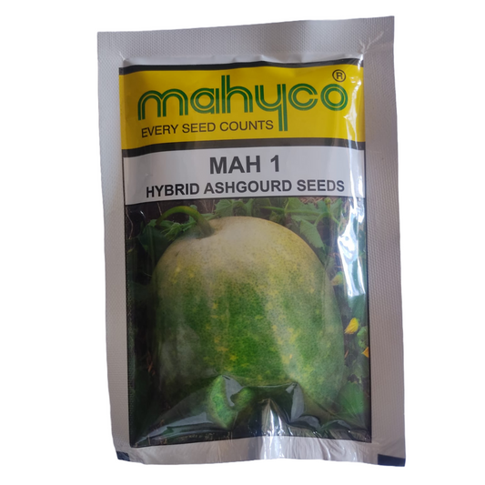 MAH 1 Ash Gourd Seeds - Mahyco | F1 Hybrid | Buy Online at Best Price