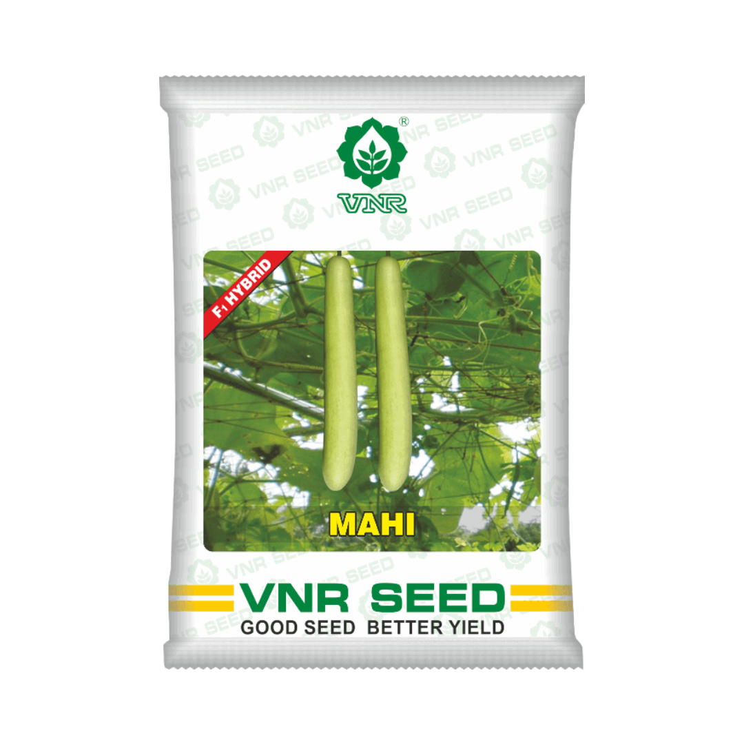 Mahi Bottle Gourd Seeds - VNR | F1 Hybrid | Buy Online at Best Price
