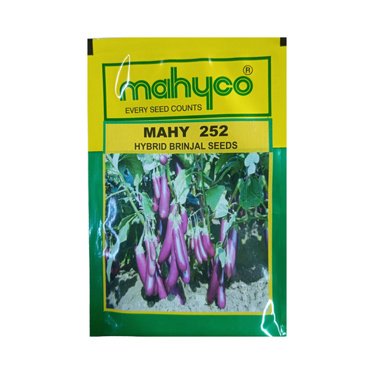 MAHY 252 Brinjal Seeds