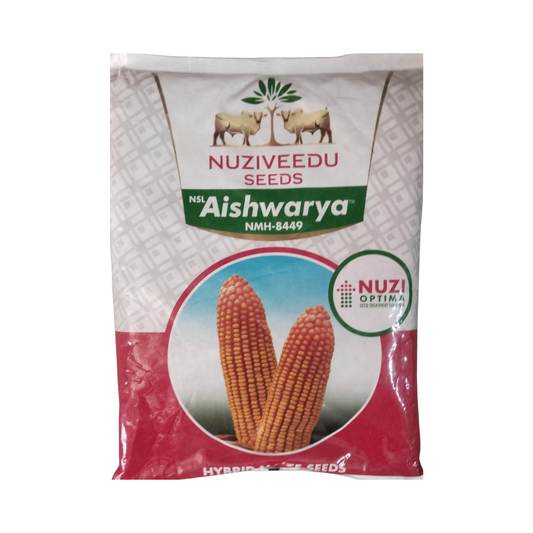 Aishwarya (NMH-8449) Maize Seeds - Nuziveedu | F1 Hybrid | Buy Now