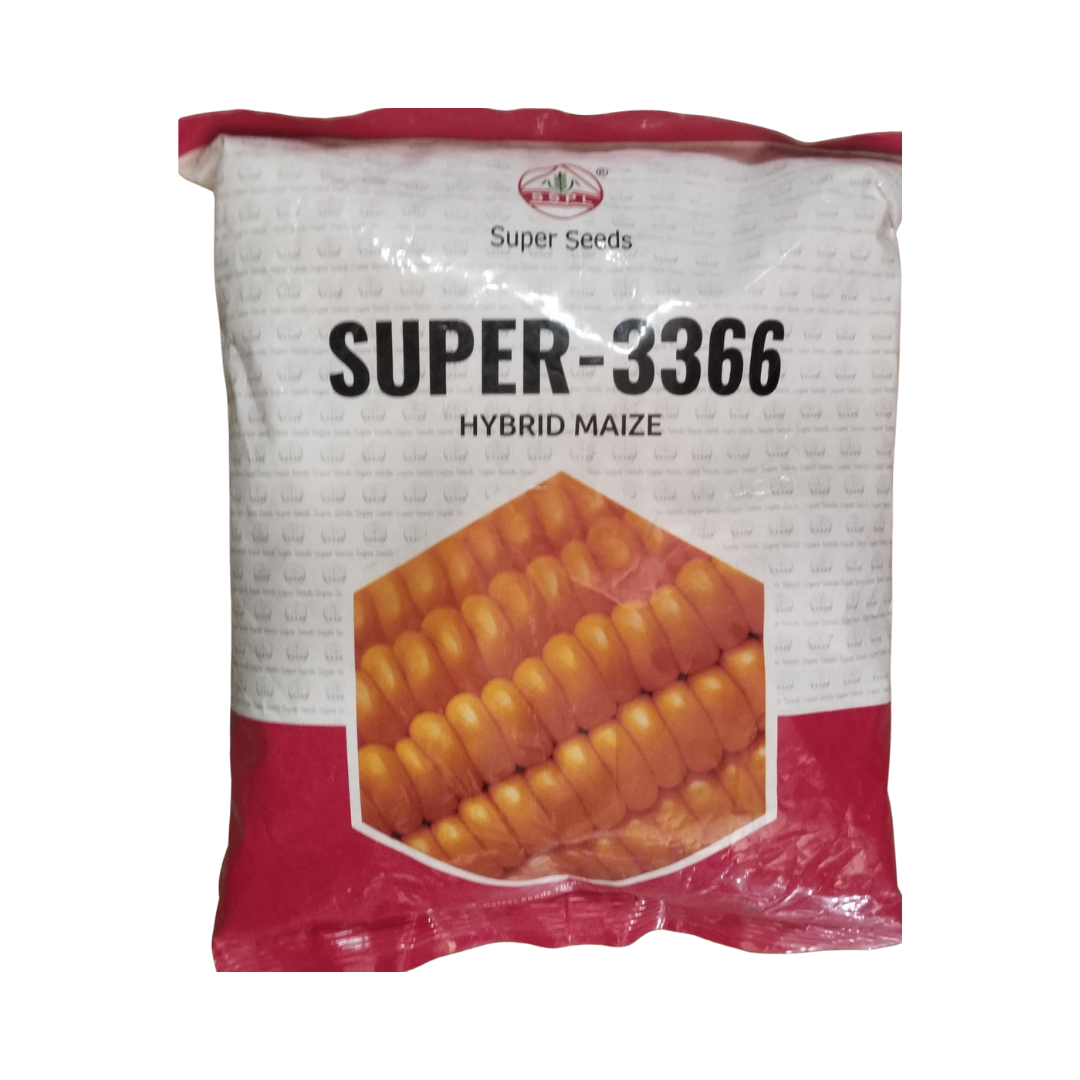 Super-3366 Maize Seeds - Super Seeds | F1 Hybrid | Buy Online Now