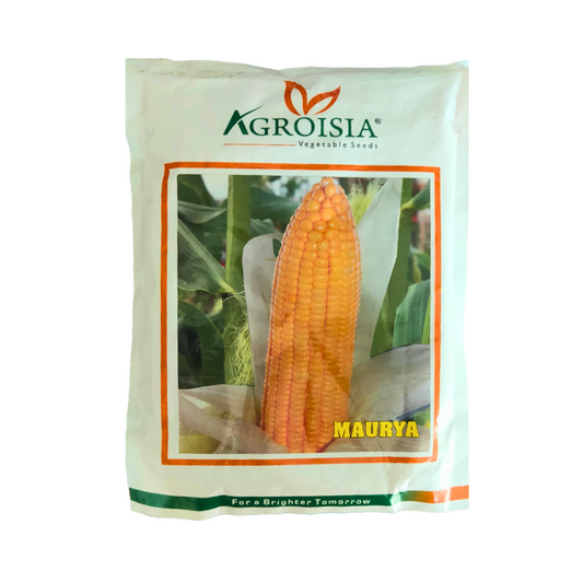 Maurya Sweet Corn Seeds - Agroisia | F1 Hybrid | Buy Online at Best Price