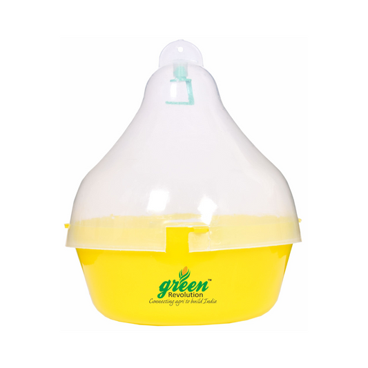 Maxplus Trap Fruit Fly Trap (Pack of 10) - Green Revolution | Buy Now