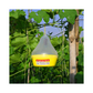 Maxplus Trap Fruit Fly Trap (Pack of 10) - Green Revolution | Buy Now