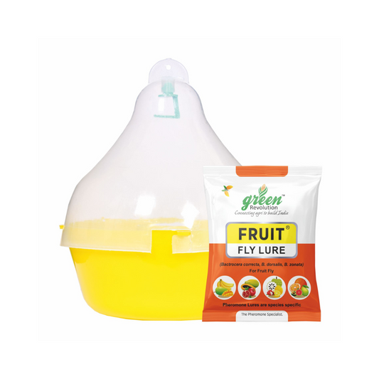 Maxplus Trap With Fruit Fly Lure - Green Revolution | Buy Online Now