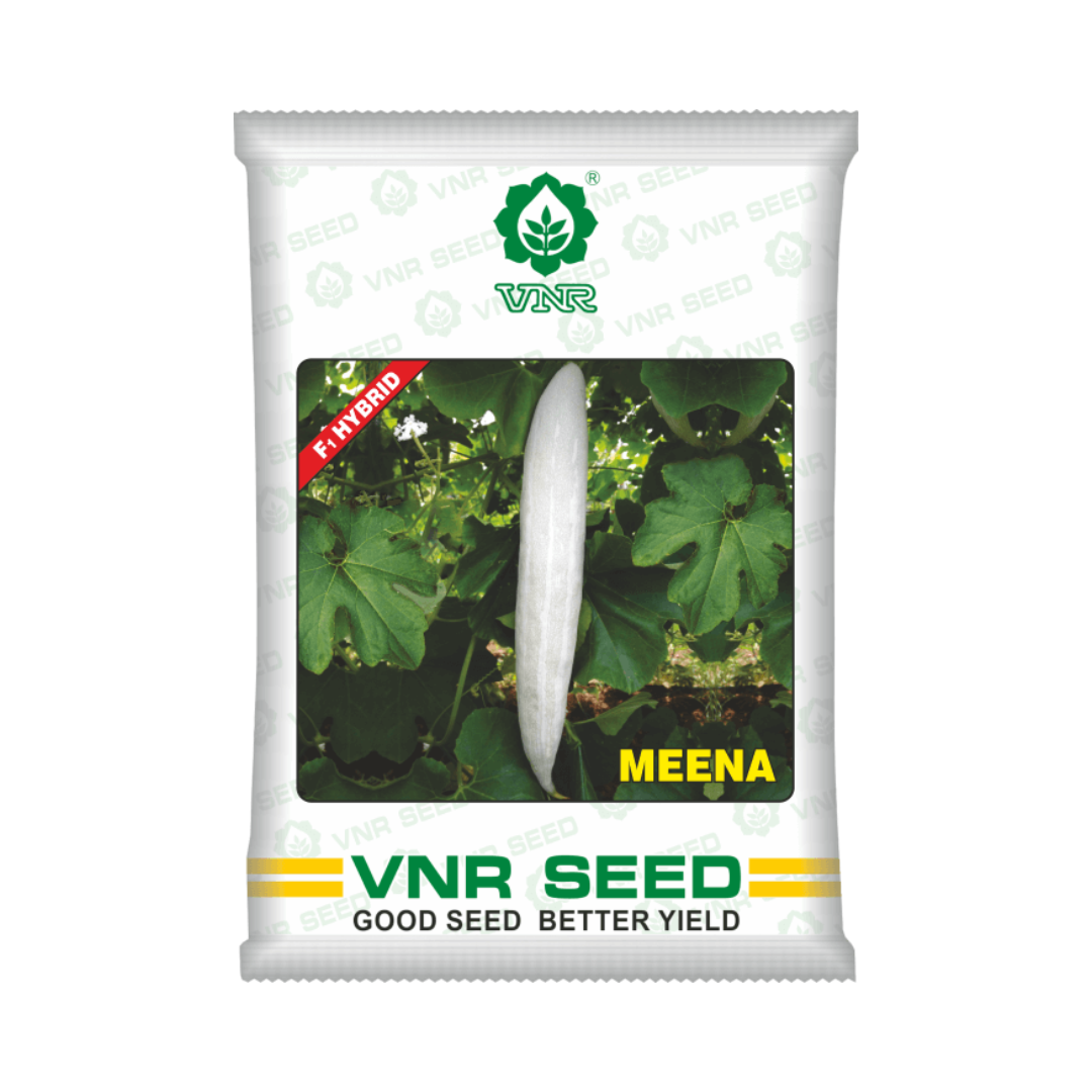 Meena Snake Gourd Seeds - VNR F1 Hybrid | Buy Online at Best Price