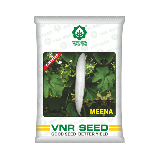Meena Snake Gourd Seeds - VNR F1 Hybrid | Buy Online at Best Price