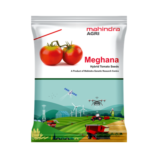 Meghana Tomato Seeds - Mahindra Agri | F1 Hybrid | Buy Online at Best Price