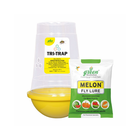 Melon Fly Trap/ TRI-Trap With Melon Fly Lure - Green Revolution | Buy