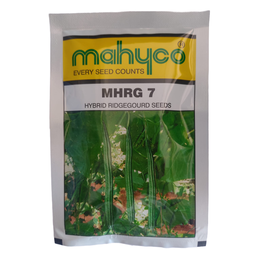 MHRG 7 Ridge Gourd Seeds - Mahyco | F1 Hybrid | Buy Online at Best Price