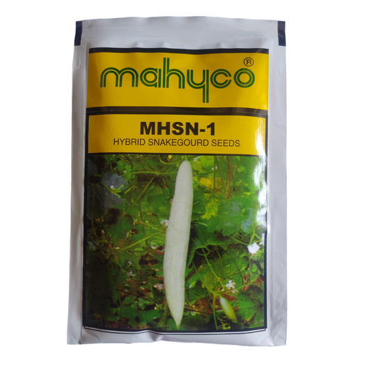 MHSN - 1 Snake Gourd- Mahyco | F1 Hybrid | Buy Online at Best Price