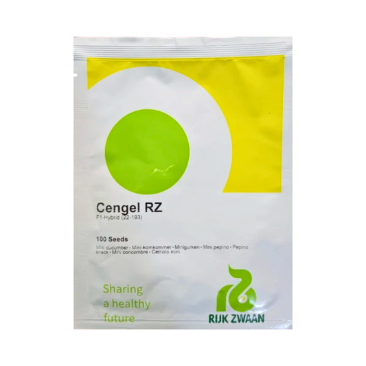 Cengel RZ (22-193) Cucumber Seeds - Rijk Zwaan | F1 Hybrid | Buy Online at Best Price