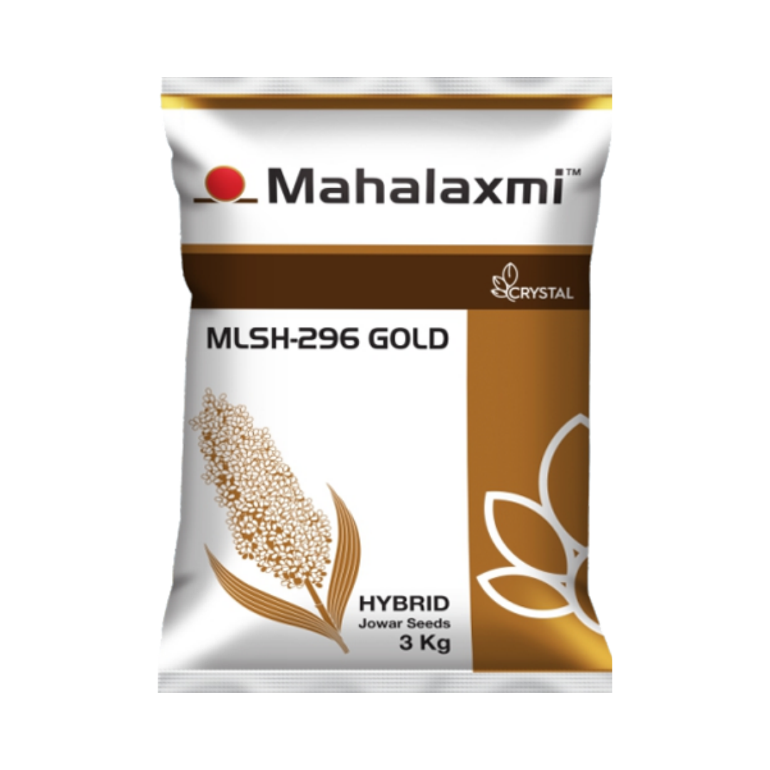 MLSH-296 Gold Jowar Seeds - Crystal | Buy Online at Best Price - DesiKheti