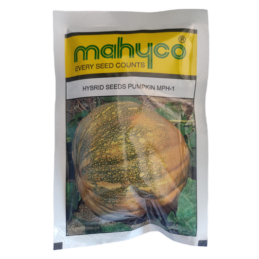 MPH - 1 Pumpkin Seeds - Mahyco | F1 Hybrid | Buy Online at Best Price