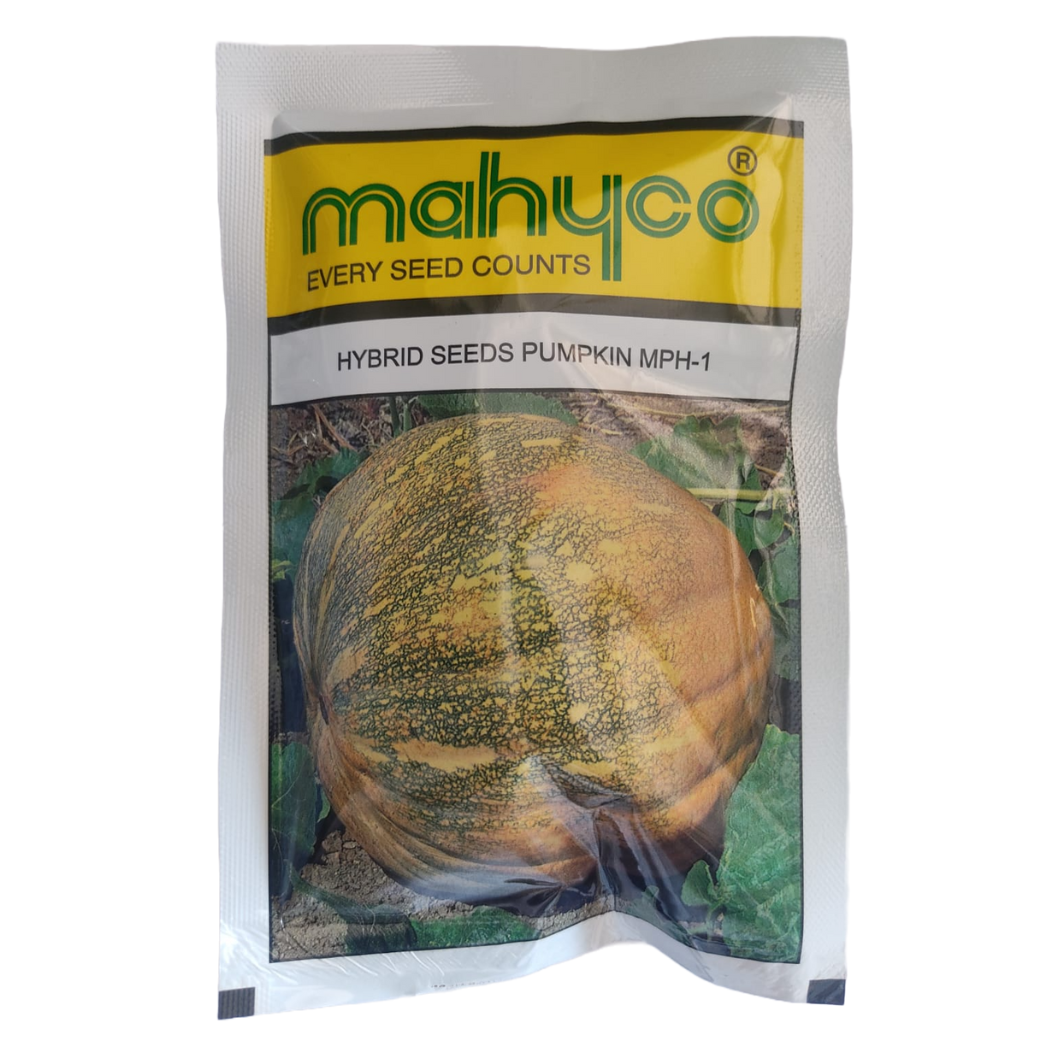 MPH - 1 Pumpkin Seeds - Mahyco | F1 Hybrid | Buy Online at Best Price