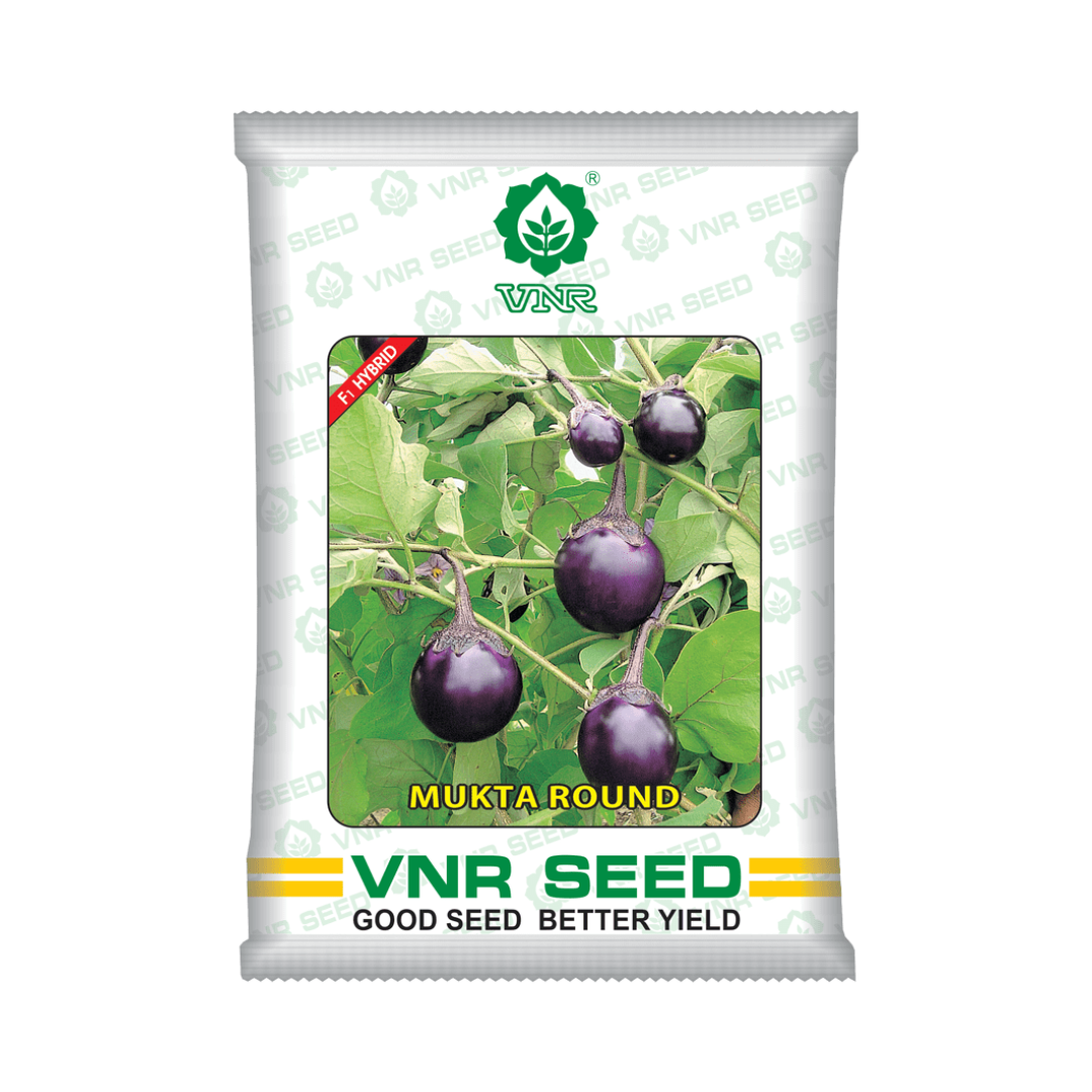 Mukta Round Brinjal Seeds - VNR | F1 Hybrid | Buy Online at Best Price