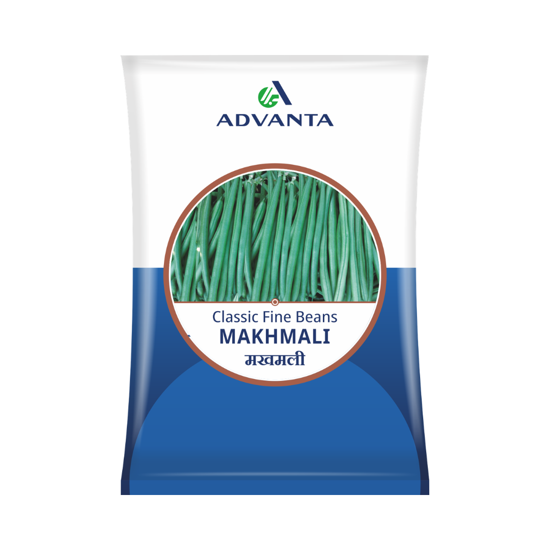 Makhmali Bean Seeds - Advanta | Buy Online at Best Price in India