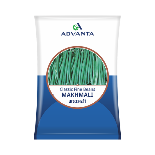 Makhmali Bean Seeds - Advanta | Buy Online at Best Price in India