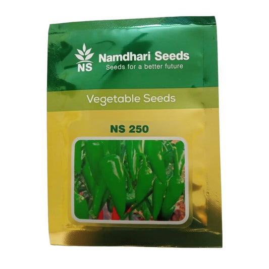 NS 250 Chilli Seeds | Buy Online At Best Price