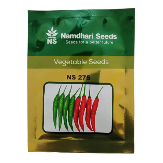 NS 275 Chilli Seeds - Namdhari | F1 Hybrid | Buy Online at Best Price