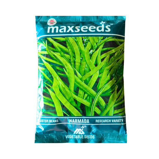 Narmada Cluster Beans Seeds - Max | F1 Hybrid | Buy Online at Best Price