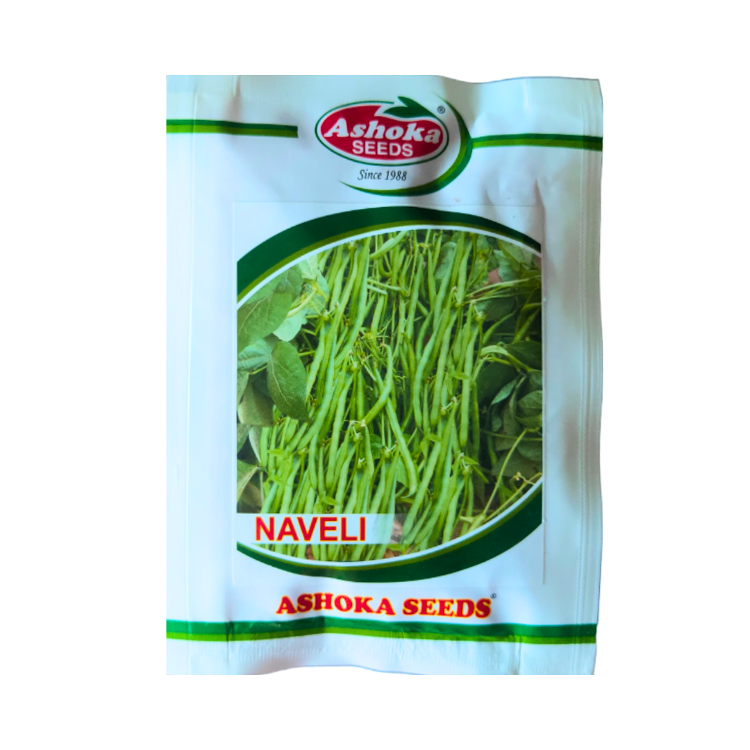 Naveli Bush Beans Seeds - Ashoka | F1 Hybrid | Buy Online at Best Price