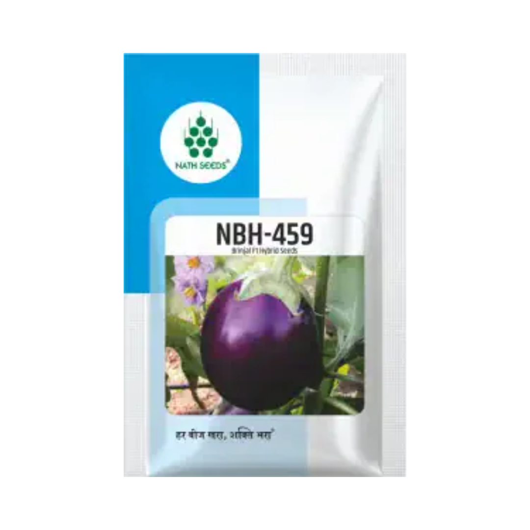 NBH-459 Brinjal Seeds - Nath | F1 Hybrid | Buy Online at Best Price