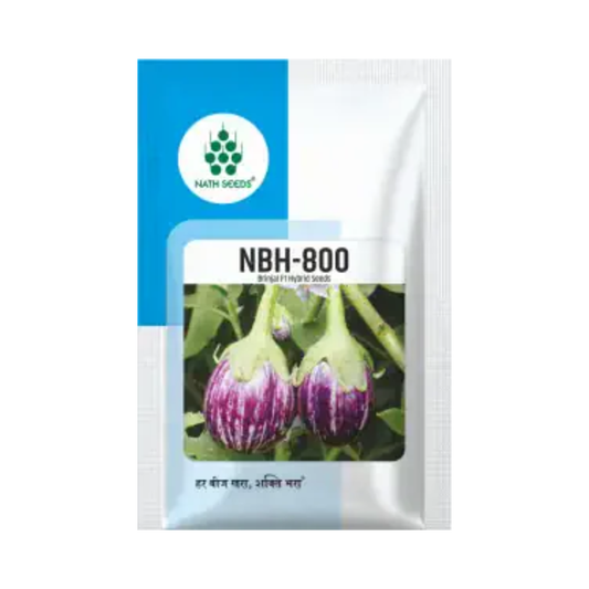 NBH-800 Brinjal Seeds - Nath | F1 Hybrid | Buy Online at Best Price