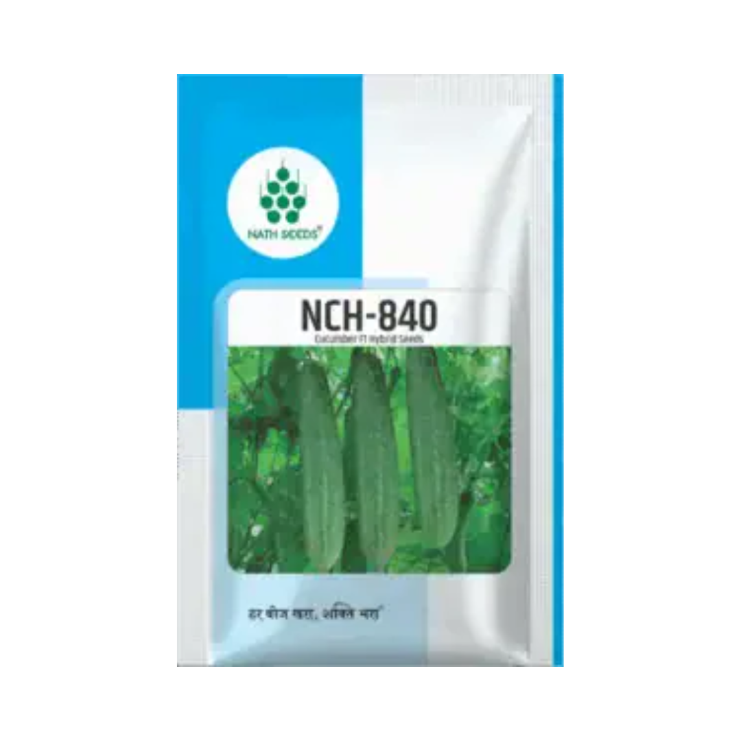 NCH-840 Cucumber Seeds - Nath | F1 Hybrid | Buy Online at Best Price