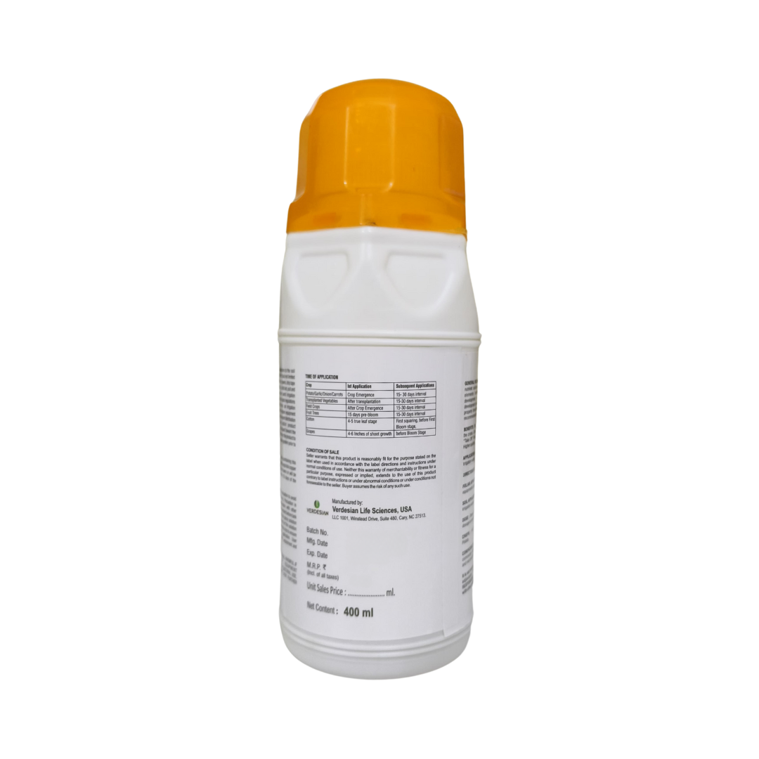 Nemo M-Z - Verdesian | Buy Online at Best Price – Desikheti