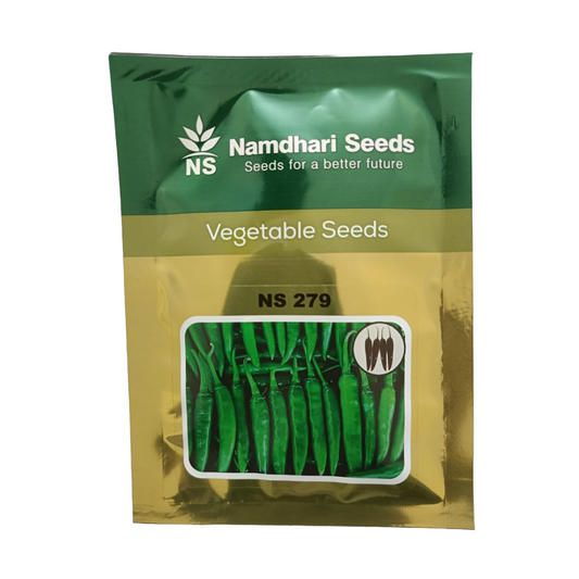 NS 279 Chilli Seeds - Namdhari | F1 Hybrid | Buy Online at Best Price