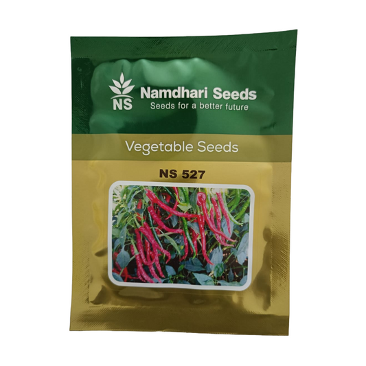 NS 527 Chilli Seeds - Namdhari | F1 Hybrid | Buy Online at Best Price