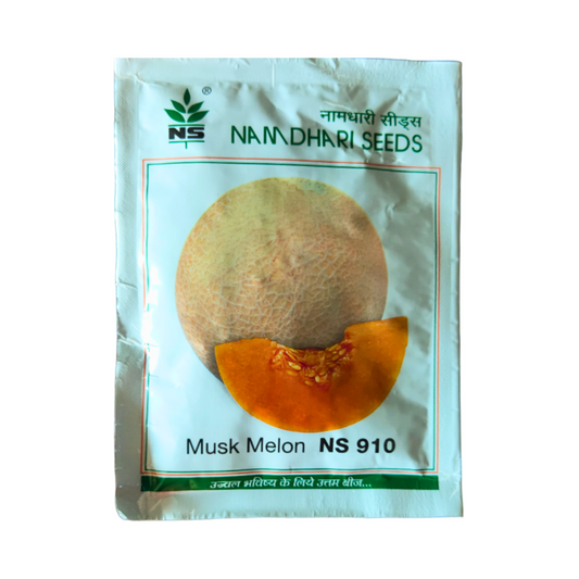 NS 910 Muskmelon Seeds - Namdhari | F1 Hybrid | Buy Online at Best Price