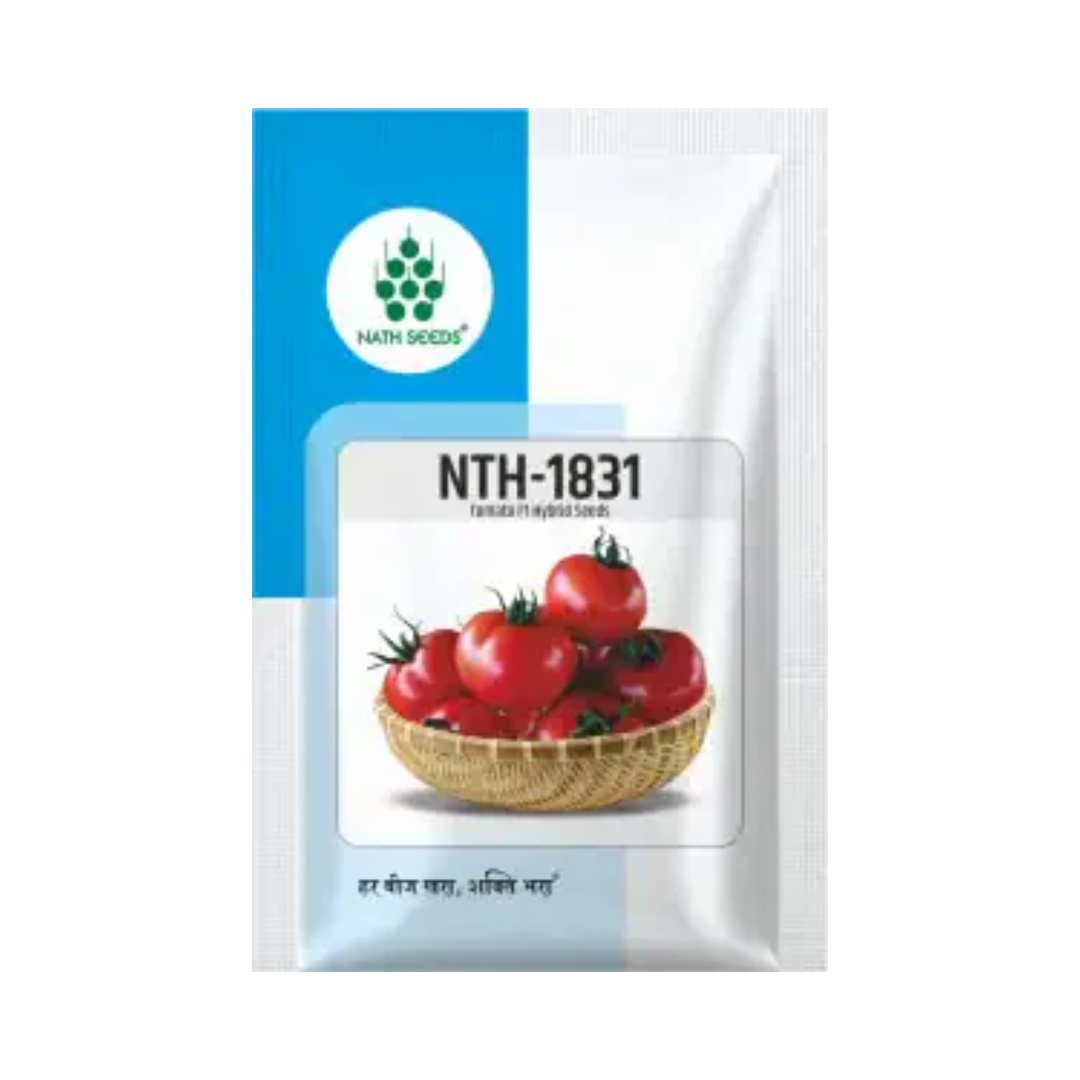 NTH-1831 Tomato Seeds