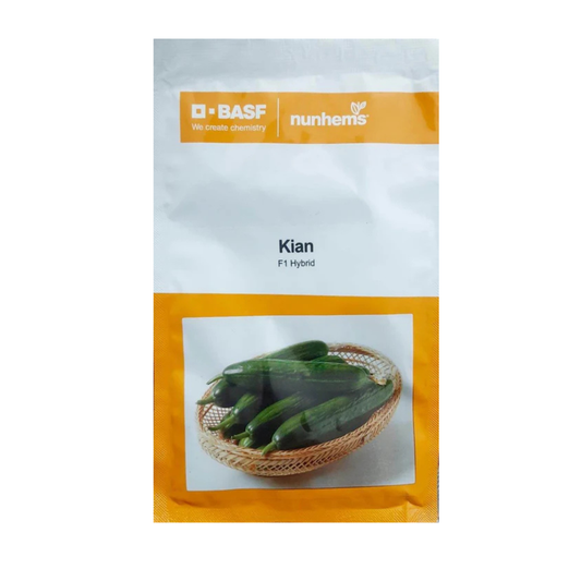Kian Cucumber Seeds - Nunhems | F1 Hybrid | Buy Online at Best Price