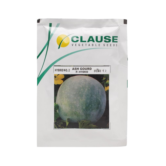 Ash Gourd No.2 Seeds - HM Clause | F1 Hybrid | Buy Online at Best Price
