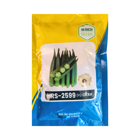 HRS-2599 Bhendi Seeds - Hi Rich Seeds | F1 Hybrid | Buy Online Now