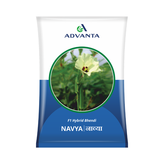 Navya Bhindi Seeds - Advanta | F1 Hybrid | Buy Online at Best Price