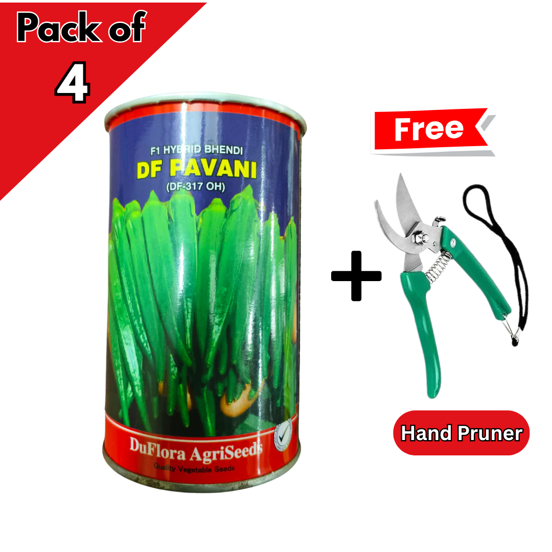 DF Pavani Bhendi Seeds