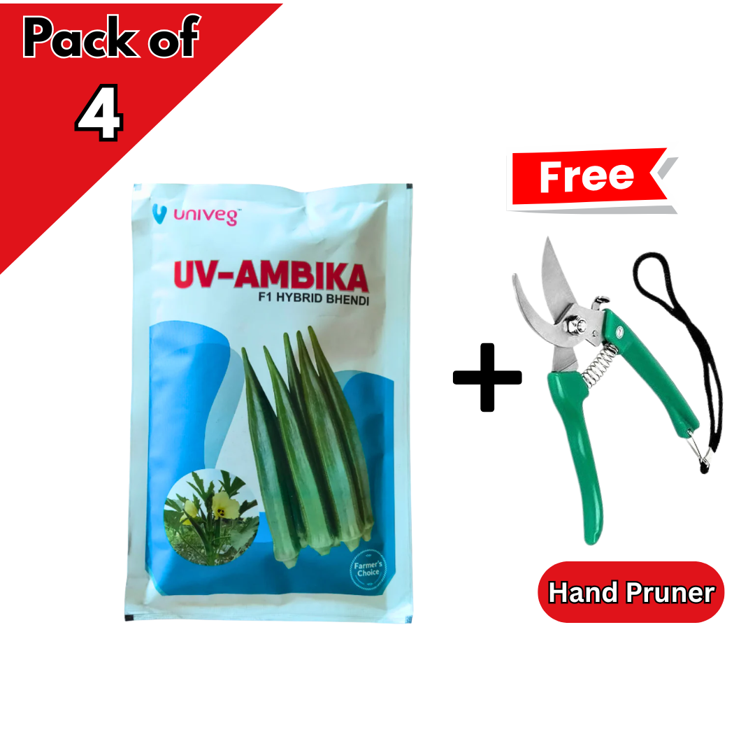 UV-Ambika Bhendi Seeds