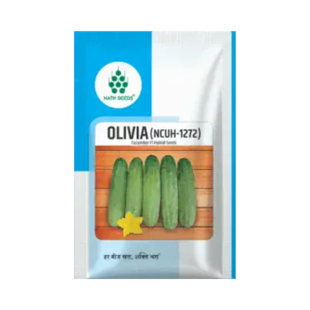 Olivia (NCUH-1272) Cucumber Seeds - Nath | F1 Hybrid | Buy Online at Best Price