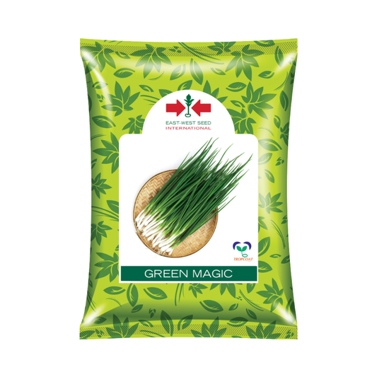 Green Magic Onion Seeds - East West | F1 Hybrid | Buy Online - DesiKheti