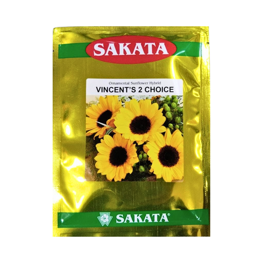 Vincent's 2 Choice Ornamental Sunflower Seeds - Sakata | F1 Hybrid | Buy Now